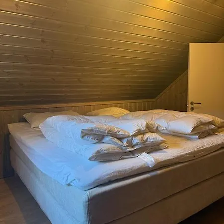 Prázdninový dům Hoyfjellshytta *