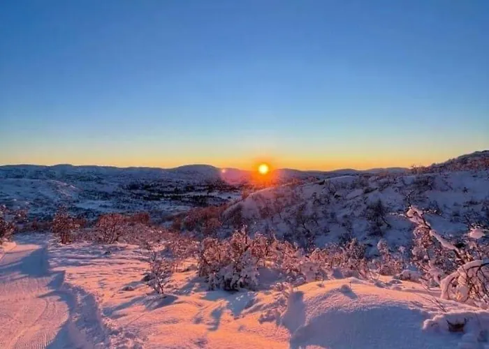 Hoyfjellshytta Holiday home *