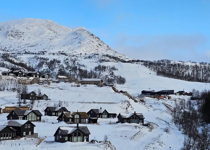 Holiday home Hoyfjellshytta *